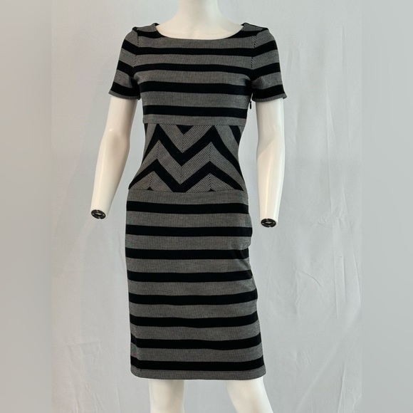 BCBG MaxAzria Roslyn Belted Gray Striped Trimmed A-line Dress - Picture 4 of 8